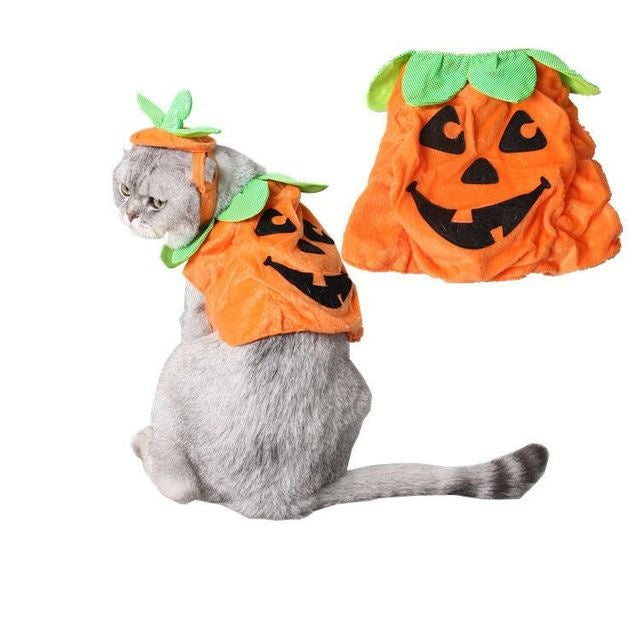 Creative Pumpkin Cat Costume Props - Holiday Garment Supplies