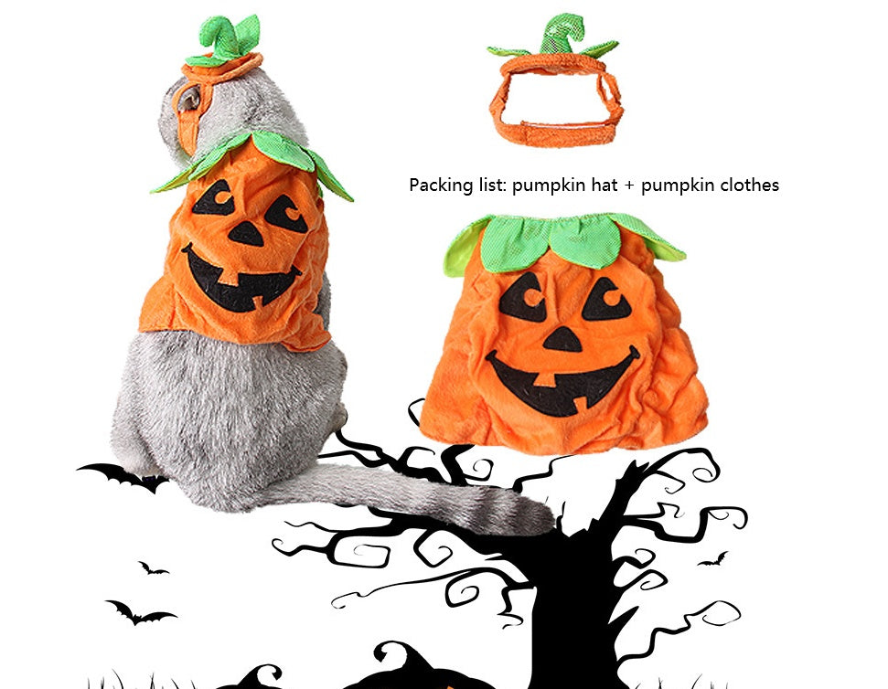 Creative Pumpkin Cat Costume Props - Holiday Garment Supplies