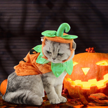 Creative Pumpkin Cat Costume Props - Holiday Garment Supplies