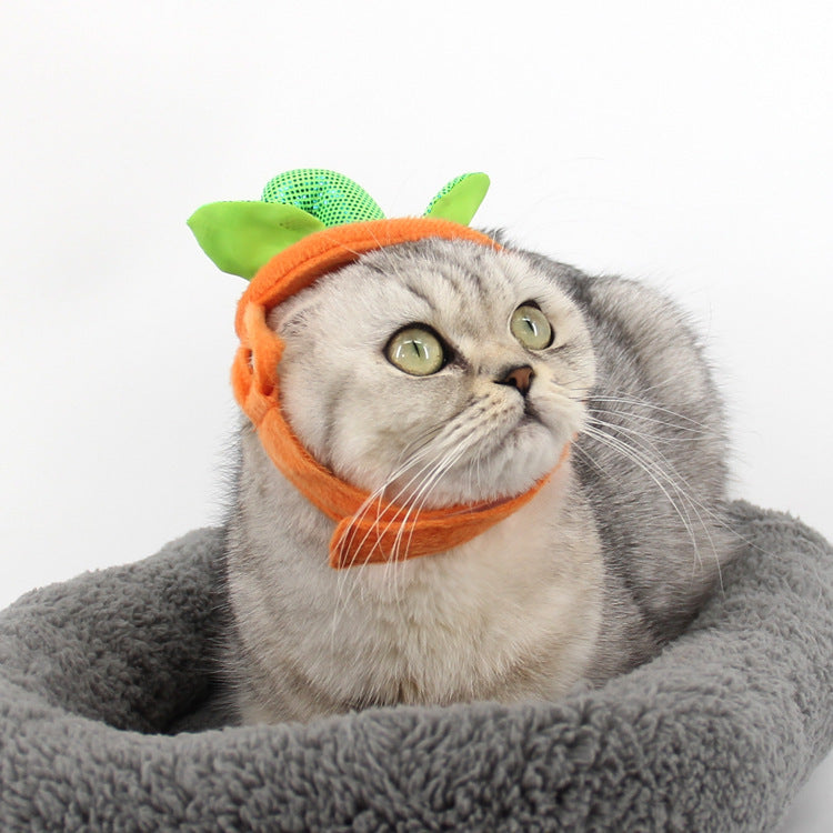 Creative Pumpkin Cat Costume Props - Holiday Garment Supplies