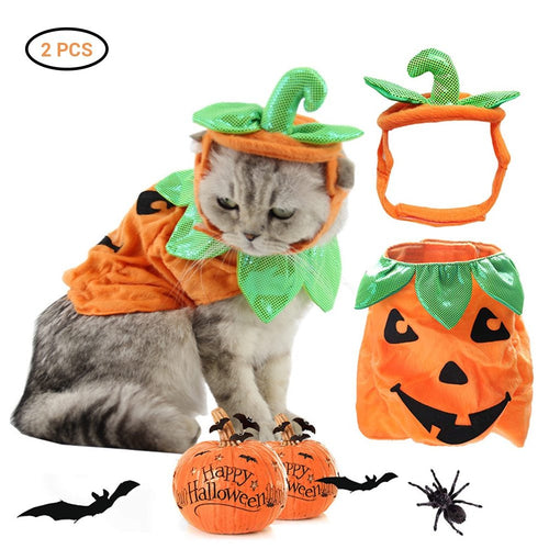 Creative Pumpkin Cat Costume Props - Holiday Garment Supplies