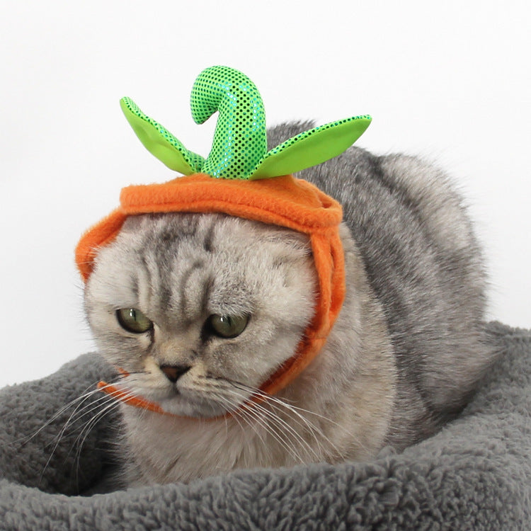 Creative Pumpkin Cat Costume Props - Holiday Garment Supplies