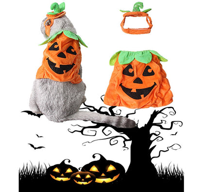 Creative Pumpkin Cat Costume Props - Holiday Garment Supplies