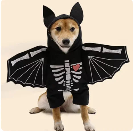 Adorable Bat Pet Costume for Halloween