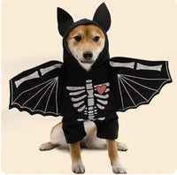 Adorable Bat Pet Costume for Halloween